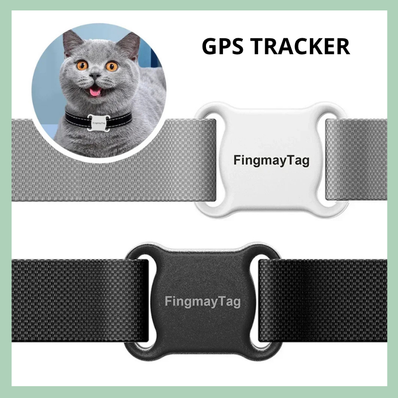 Localizzatore GPS intelligente