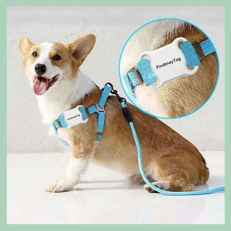 Localizzatore GPS intelligente