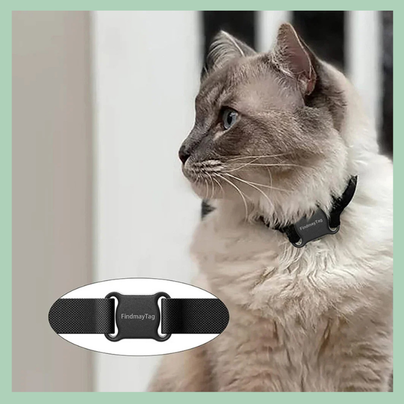 Localizzatore GPS intelligente