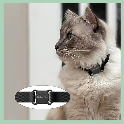 Localizzatore GPS intelligente